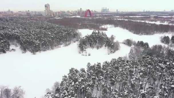 Hutan Musim Dingin Dan Jembatan Zhivopisniy Moskow Rusia Aerial — Stok Video