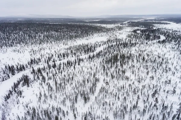 Floresta Inverno Selvagem Nevado Além Círculo Ártico Aviação — Fotografia de Stock