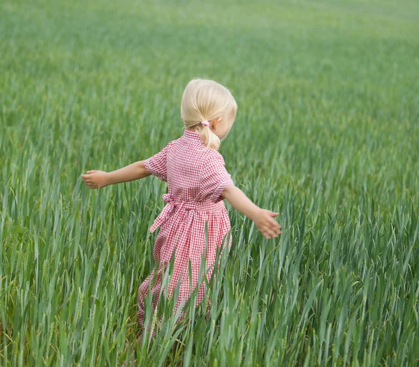 Kleines Mädchen im karierten Kleid auf einem Feld mit grünem Gras — Stockfoto