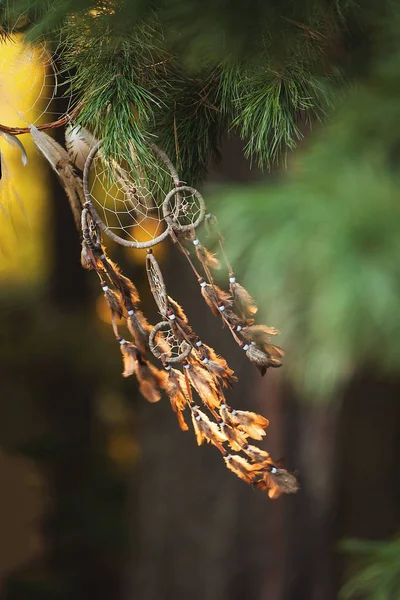 Dream Catcher on the sunset background — Stock Photo, Image