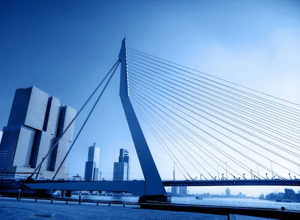 Rotterdam 'ın silueti ve Erasmus köprüsü. 2020 'nin klasik mavi rengi