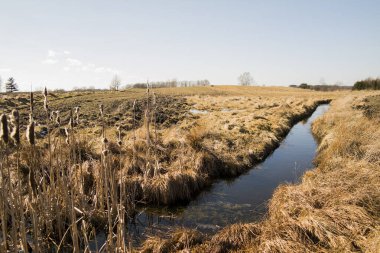 Tarlaların arasında sessiz bir nehir. Sonbahar manzarası. Kurumuş tahıl.