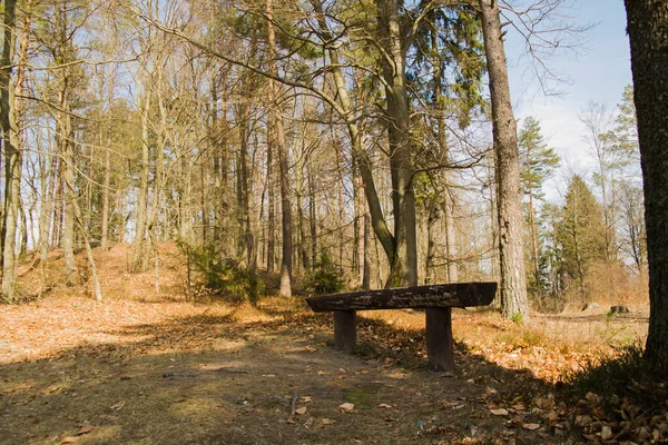 Old Wooden Bench Midst Withered Forest Autumn Landscape — Stock Photo, Image