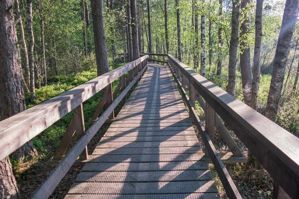 Drewniany Most Nad Bagnami Szwecji Park Narodowy Mosse Zielony Las — Zdjęcie stockowe