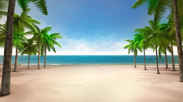 熱帯ヤシの木と砂浜海辺海 背景イラストでの休暇 ストック写真 C Adikk
