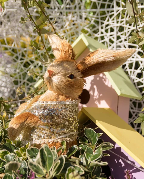 Bahar yapraklarında çökmüş oyuncak tavşan