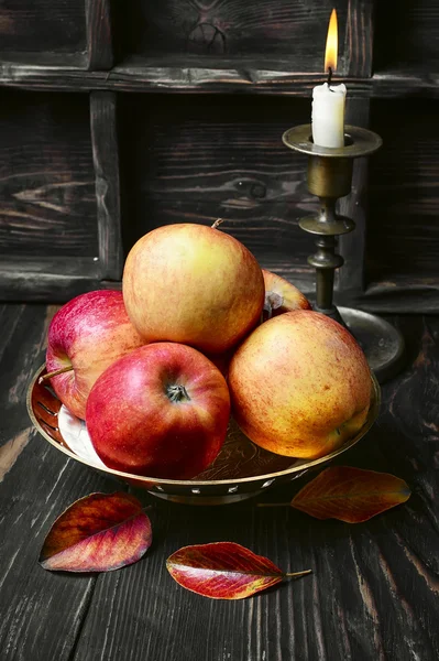 Oogst herfst appels — Stockfoto