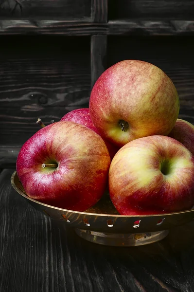 収穫の秋りんご — ストック写真