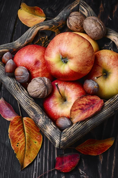 Basket of autumn apples — Stock Photo, Image