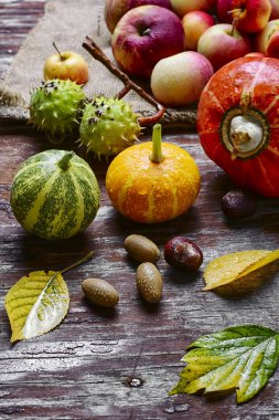 Natürmort mini kabak ile