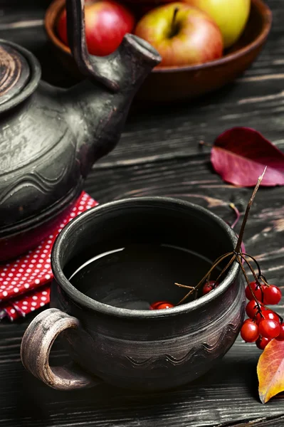 Apple autumn tea — Stock Photo, Image