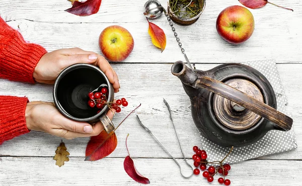 Palm of your hand with cup of autumn tea — Stock Photo, Image