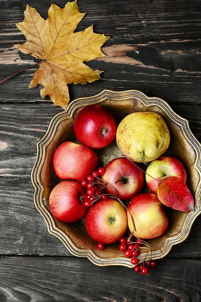 Tray with autumn apples — Stock Photo, Image