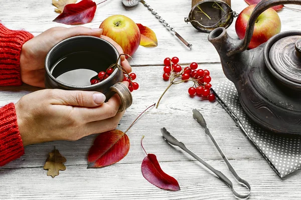 Palm of your hand with cup of autumn tea — Stock Photo, Image