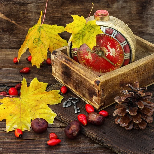 Autumn alarm clock — Stock fotografie