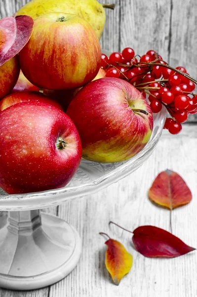Wysoki wazon z jabłkami — Zdjęcie stockowe