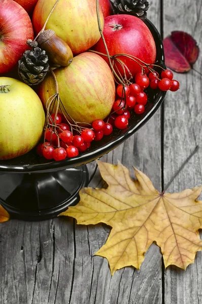 Vase with apples and rowan — Stock fotografie