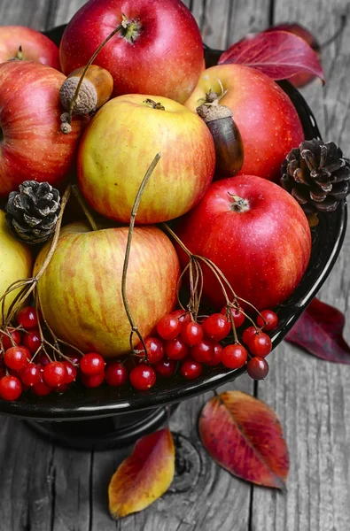 Ваза с яблоками и рябинами — стоковое фото