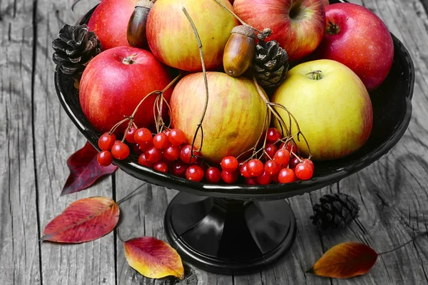 Jarrón con manzanas y serbal —  Fotos de Stock