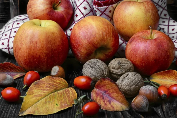 Manzanas y frutos secos de otoño —  Fotos de Stock