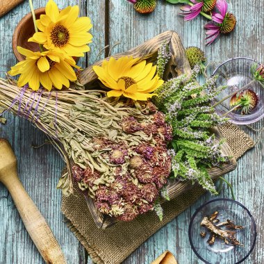 Şifalı otlar ve bitkiler