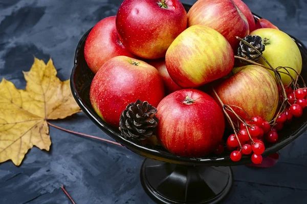 Vaas met herfst appels — Stockfoto