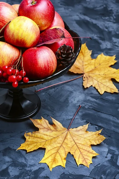 Vaas met herfst appels — Stockfoto