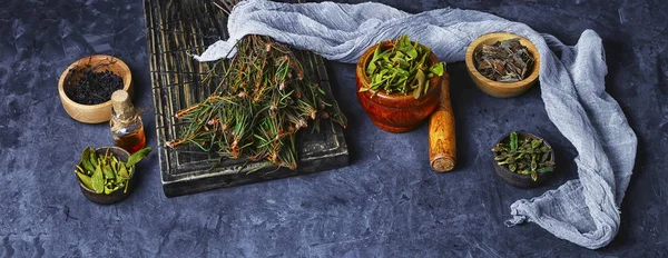 Raccolta di erbe medicinali — Foto Stock