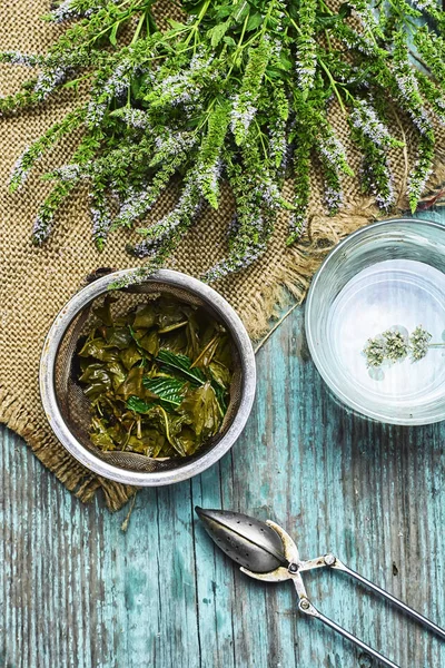 Травяной мятный чай — стоковое фото