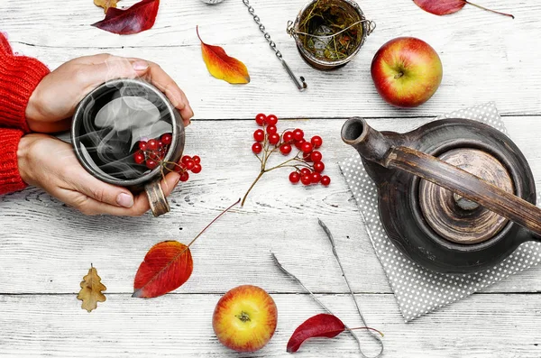 Taza de té de otoño — Foto de Stock