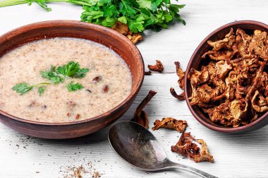 Mantar çorbası püre