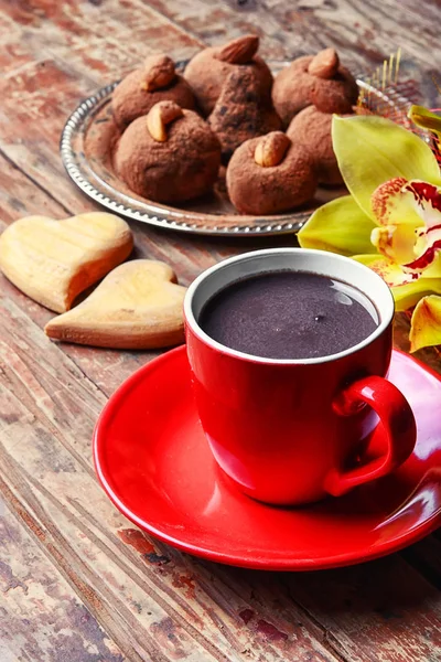 Cocoa and chocolate truffles — Stock Photo, Image