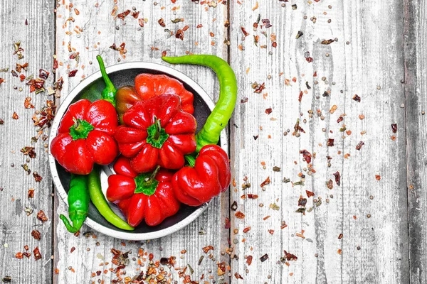 Summer harvest of peppers — Stock Photo, Image
