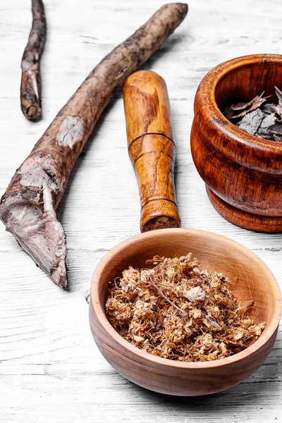 Dry medicinal herb — Stock Photo, Image