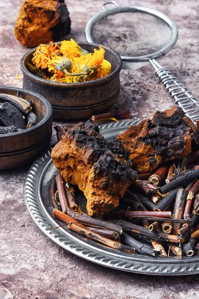 Healing gathering roots and herb — Stock Photo, Image