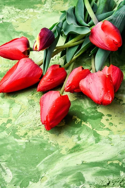 Кучка весенних красивых цветков тюльпана — стоковое фото