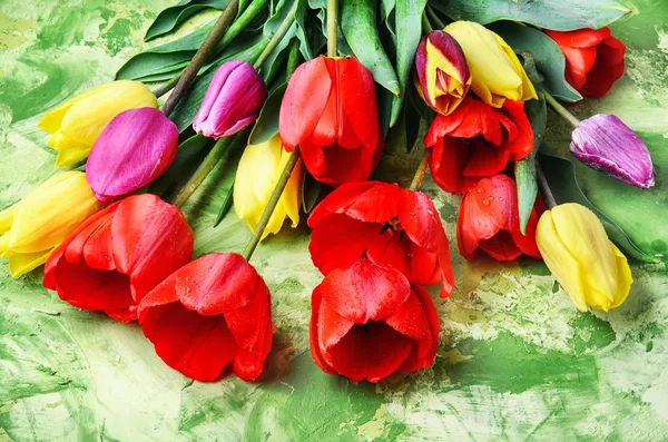 Mazzo di primavera bel fiore di tulipano — Foto Stock