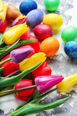Renkli Paskalya yumurtaları ve laleler