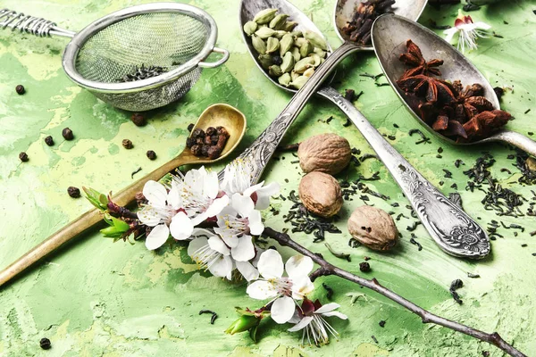 Hierbas y especias para el té tónico de primavera —  Fotos de Stock