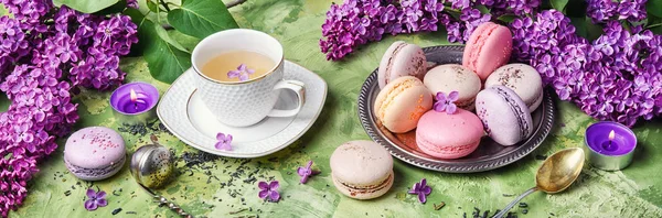 Sweet french macaroons — Stock Photo, Image