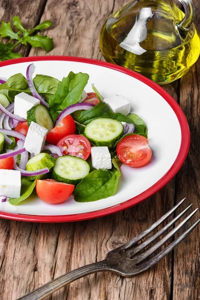 Ensalada vegetal y aceite de oliva — Foto de Stock