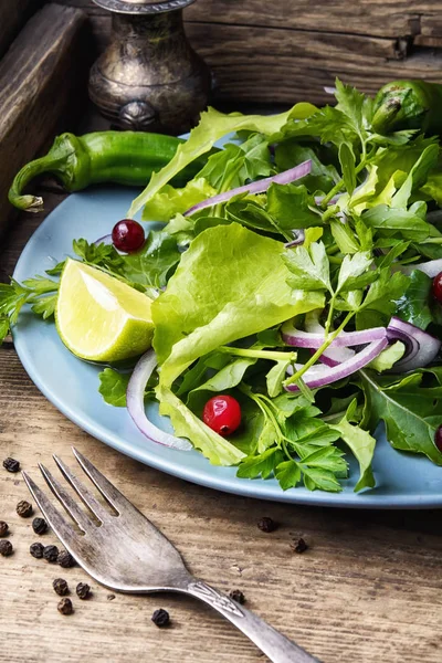 Blad groenten Salade — Stockfoto