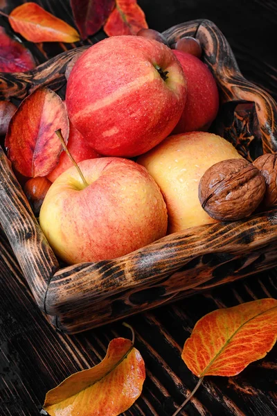 Ripe autumn apples — Stock Photo, Image