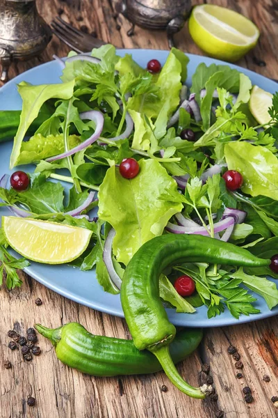 Zeleninový salát listový — Stock fotografie