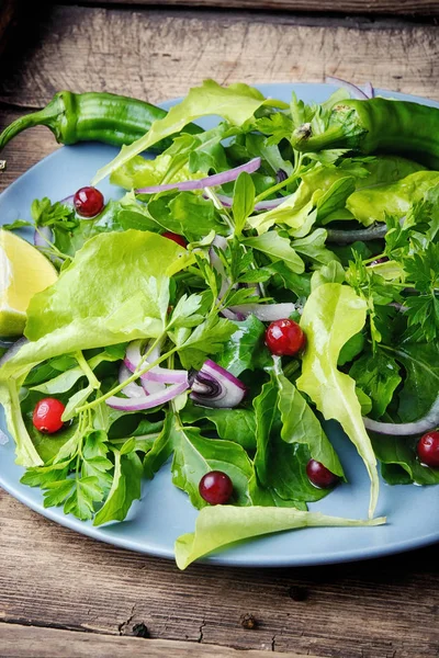 Zeleninový salát listový — Stock fotografie