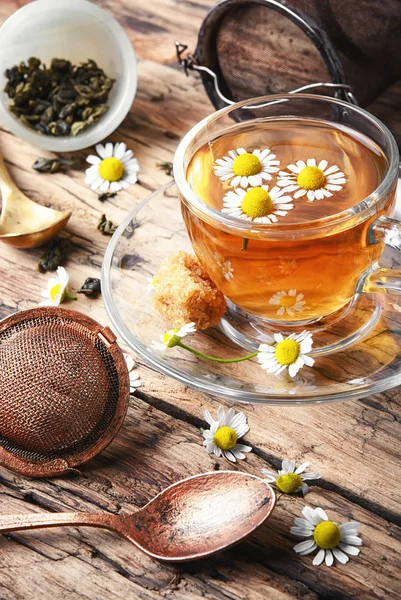 Травяной чай со свежими цветами ромашки — стоковое фото