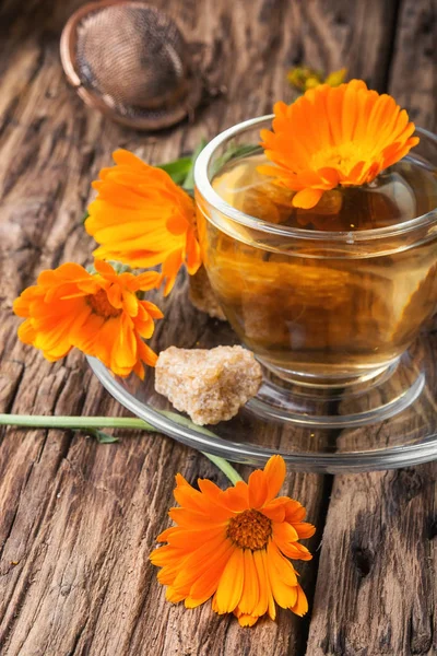 Herbal tea with calendula flowers — Stock Photo, Image