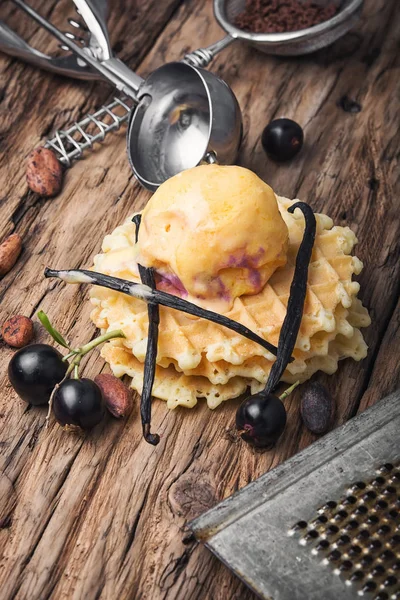 Vanilková zmrzlina na vafle — Stock fotografie