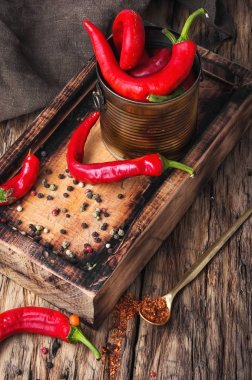 Baharatlı oryantal baharat biber