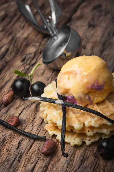 Lezzetli vanilyalı tatlı dondurulmuş dondurma — Stok fotoğraf